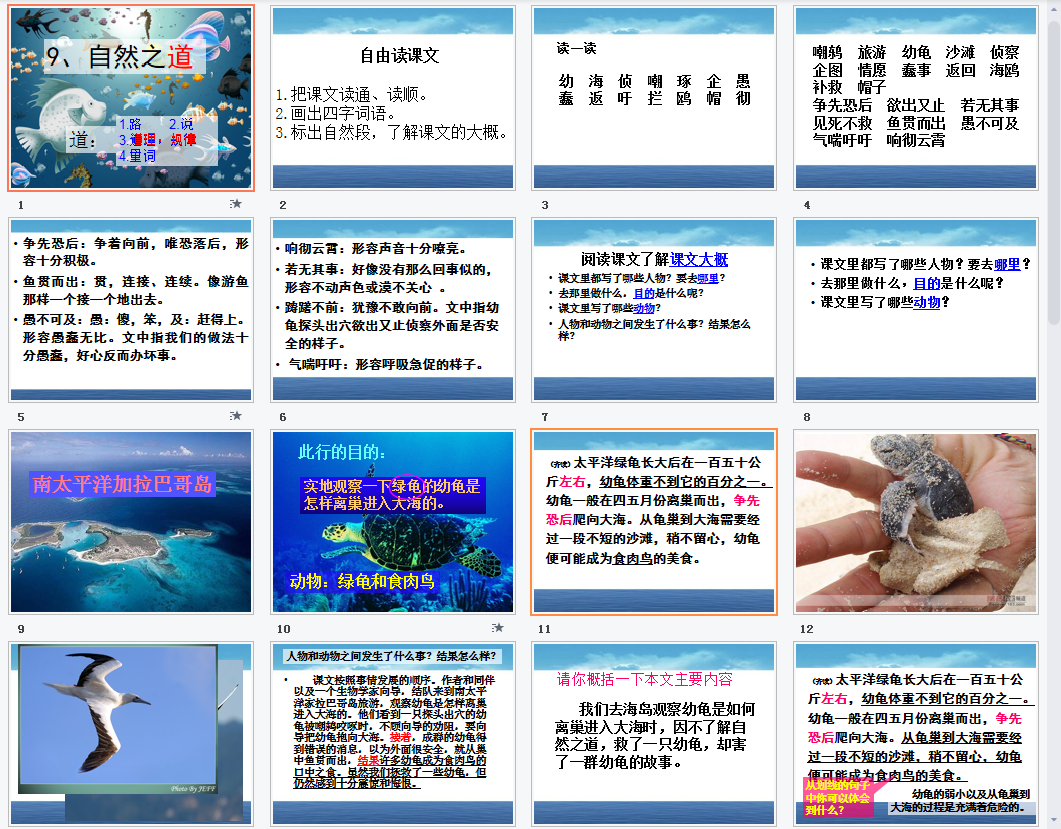 自然之道a课件