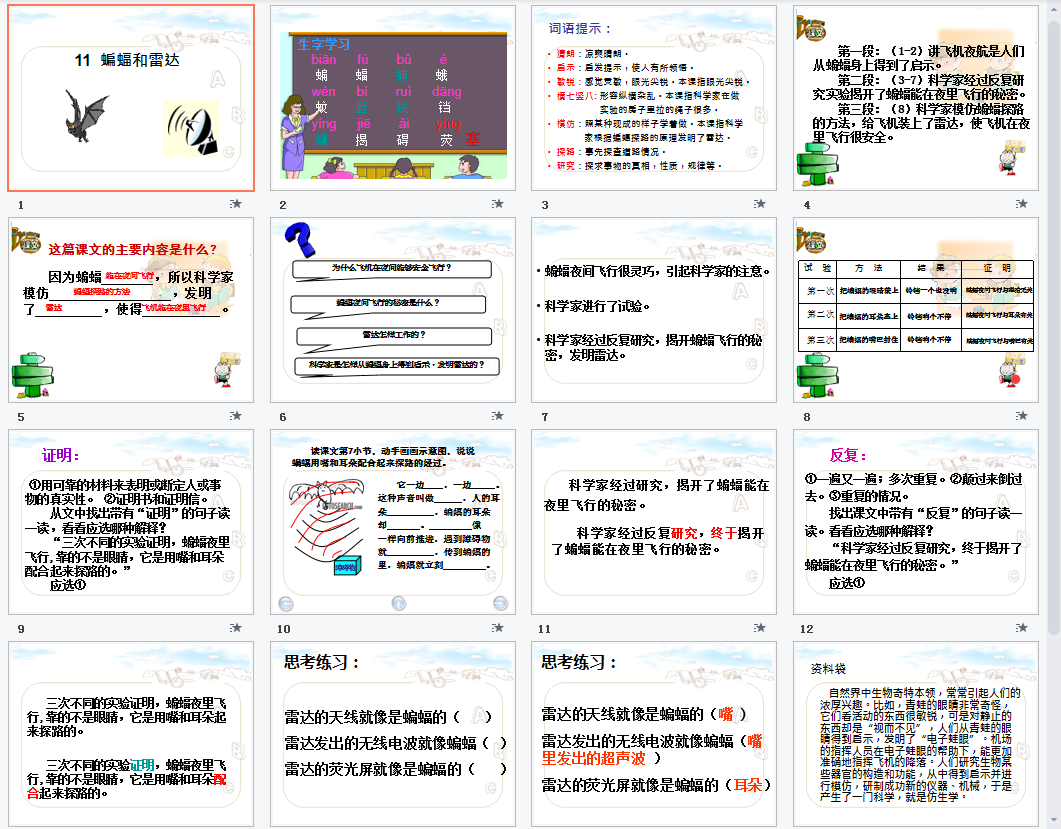 蝙蝠与雷达a课件