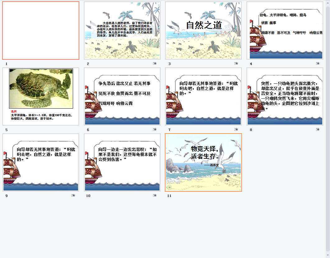 自然之道b课件