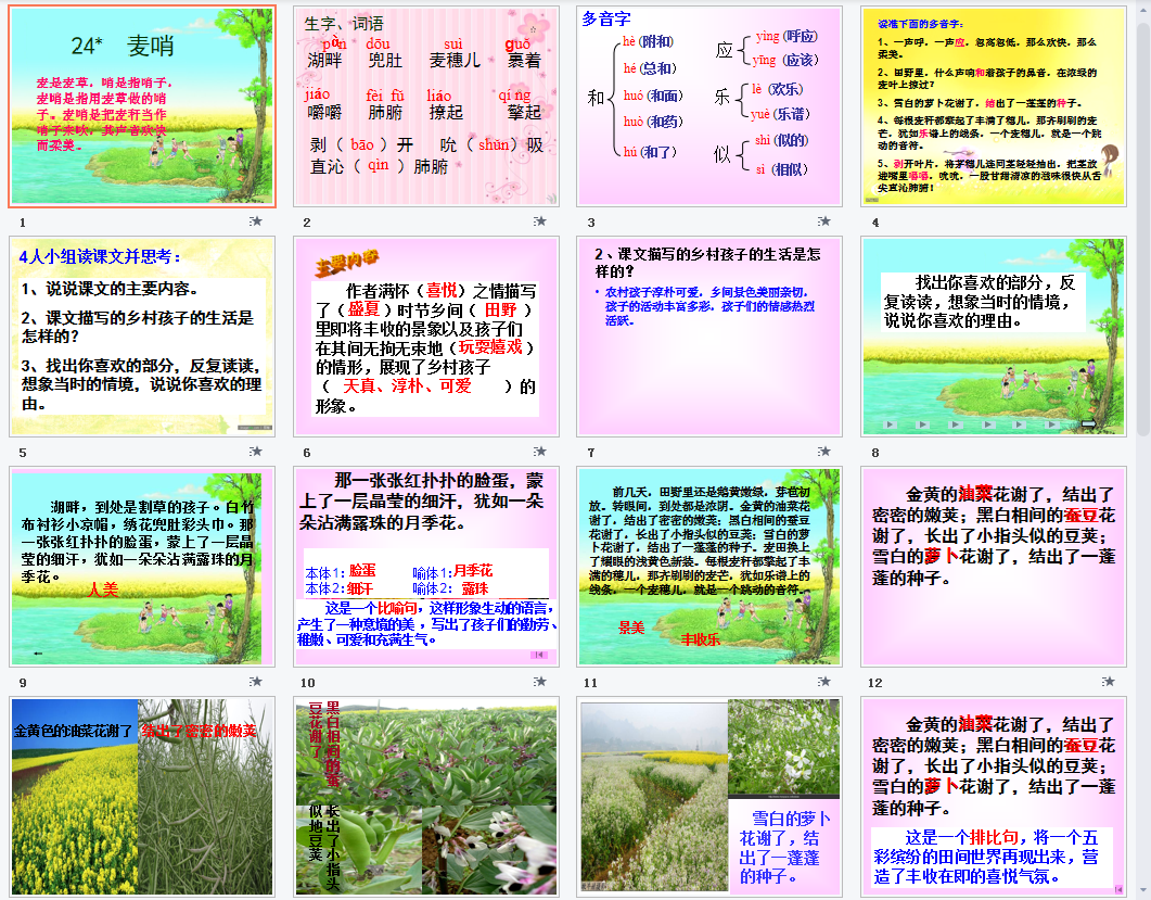 麦哨a课件