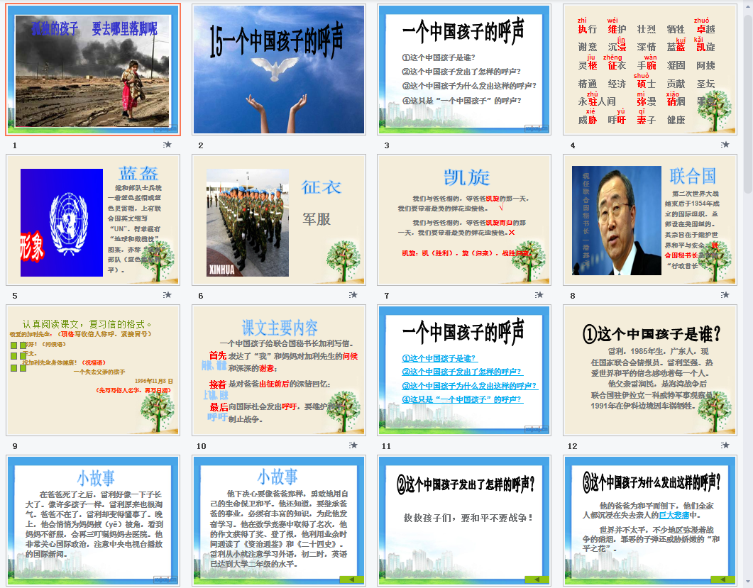 一个中国孩子的呼声b课件