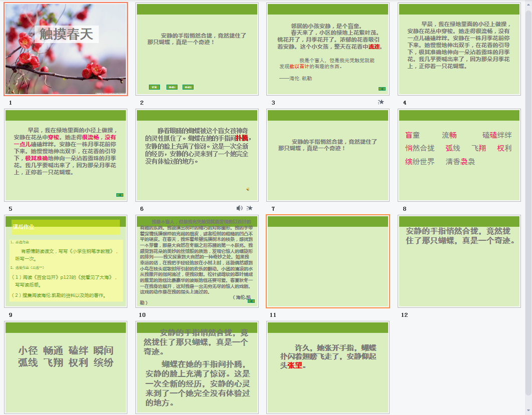 触摸春天b课件