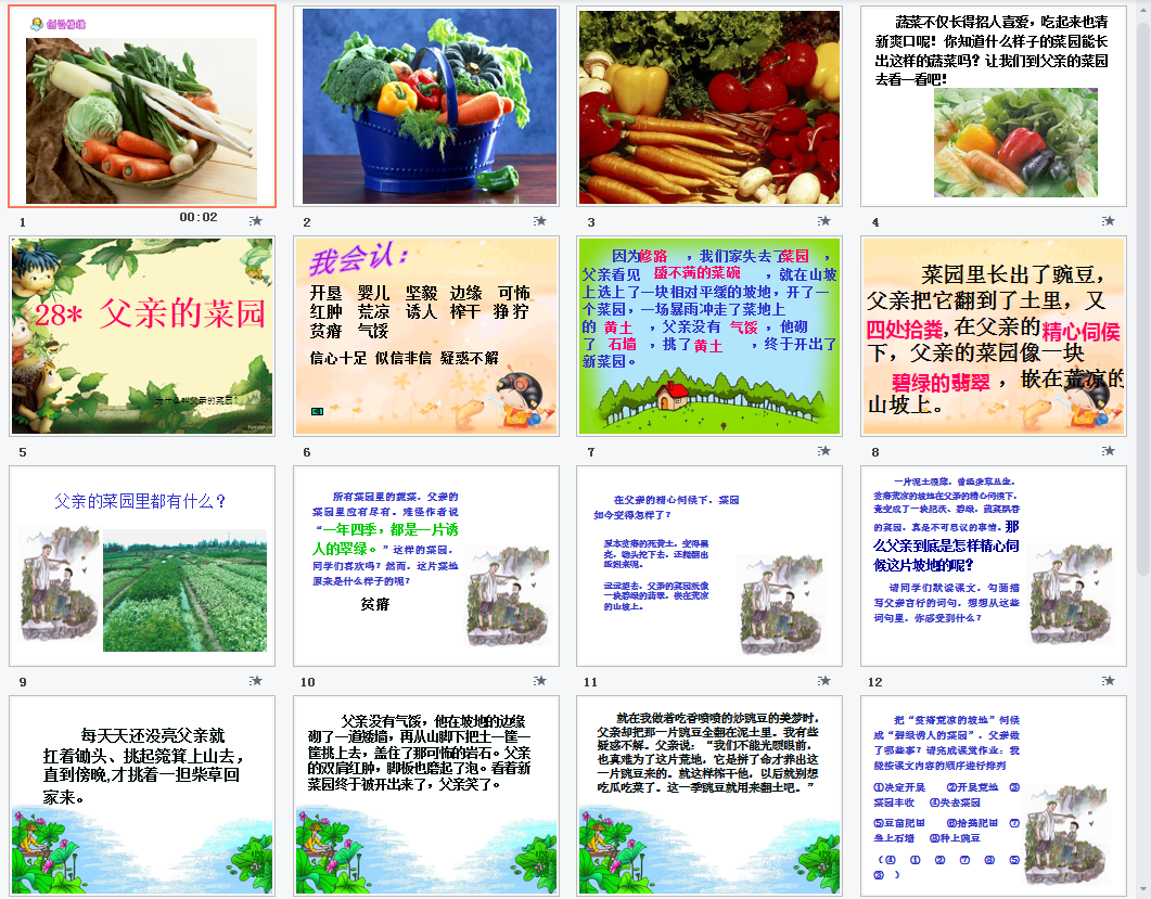 父亲的菜园b课件