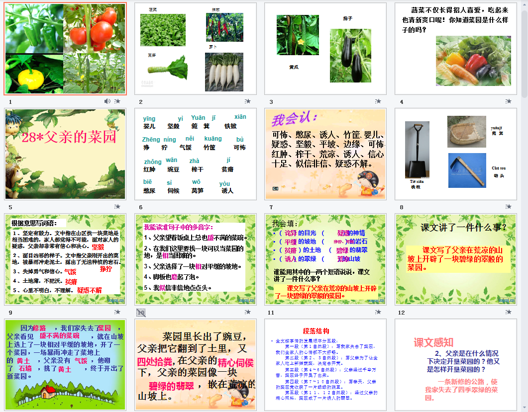 父亲的菜园a课件
