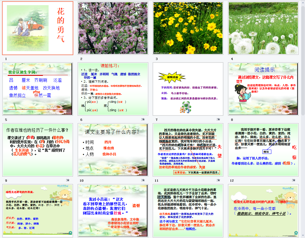 花的勇气a课件