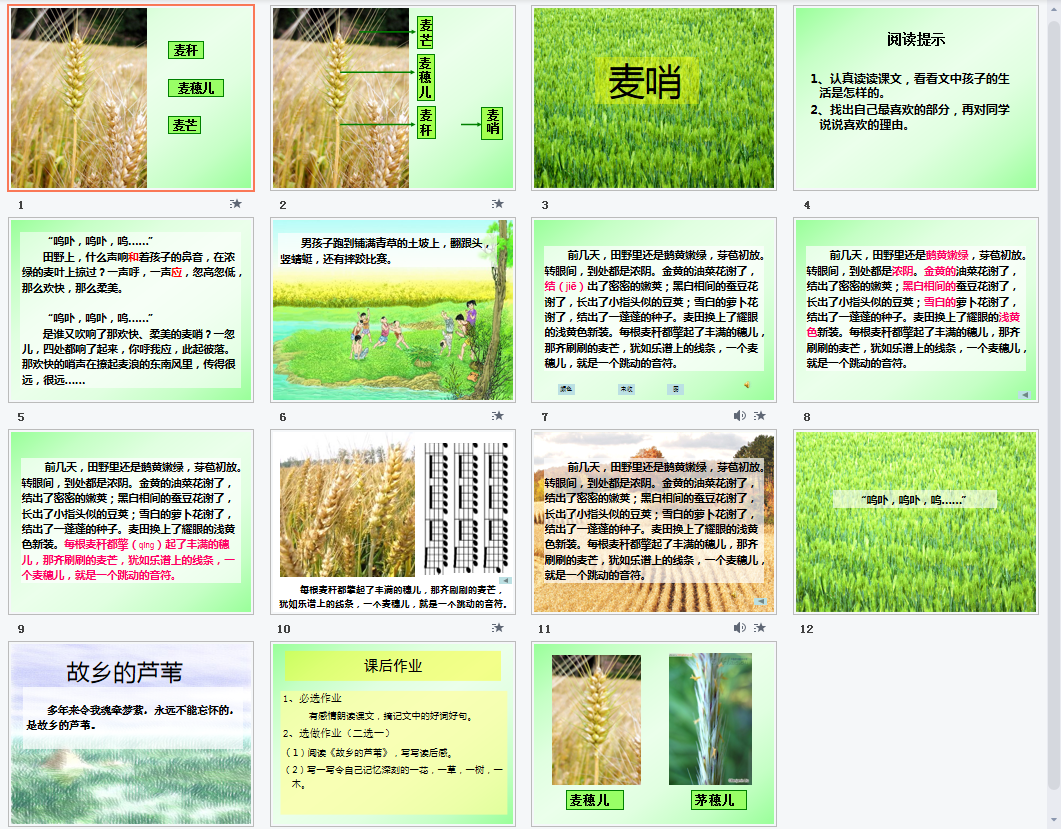 麦哨b课件