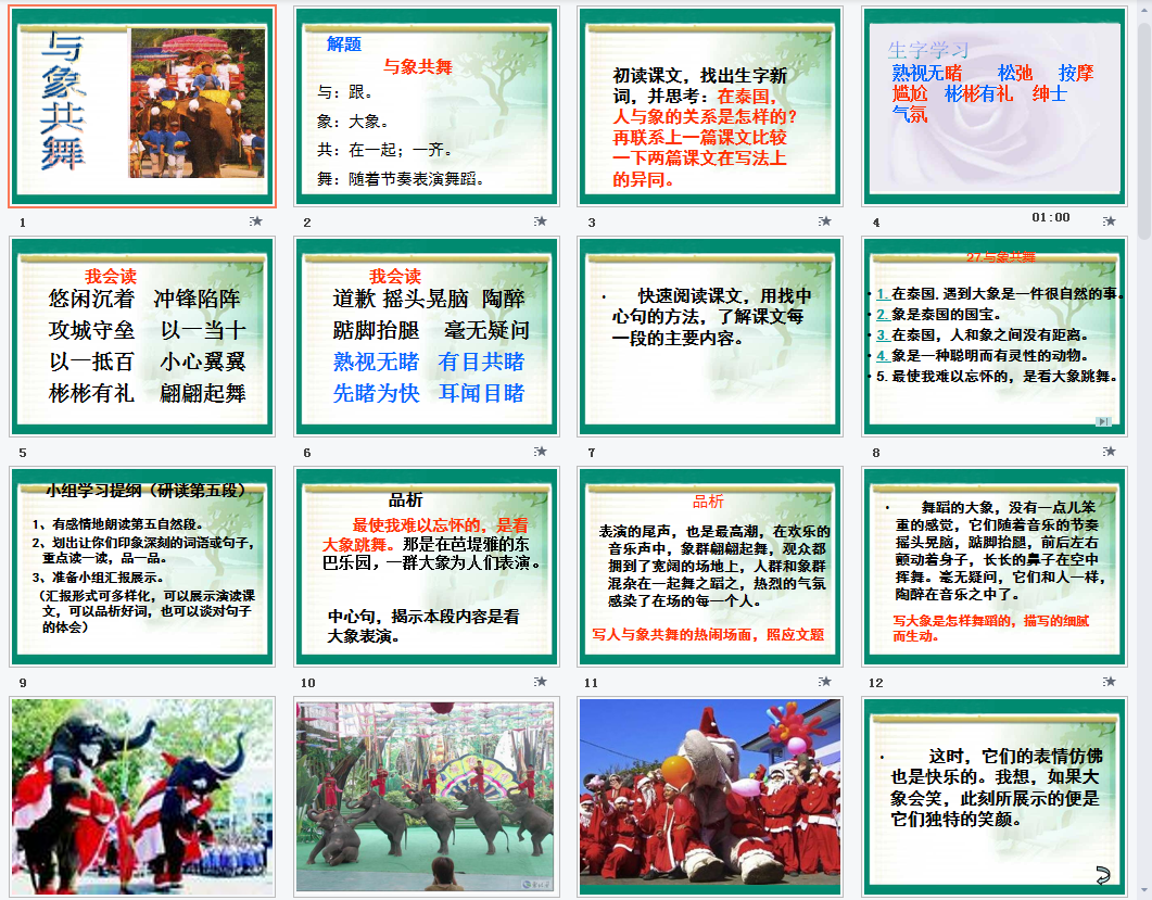与象共舞b课件