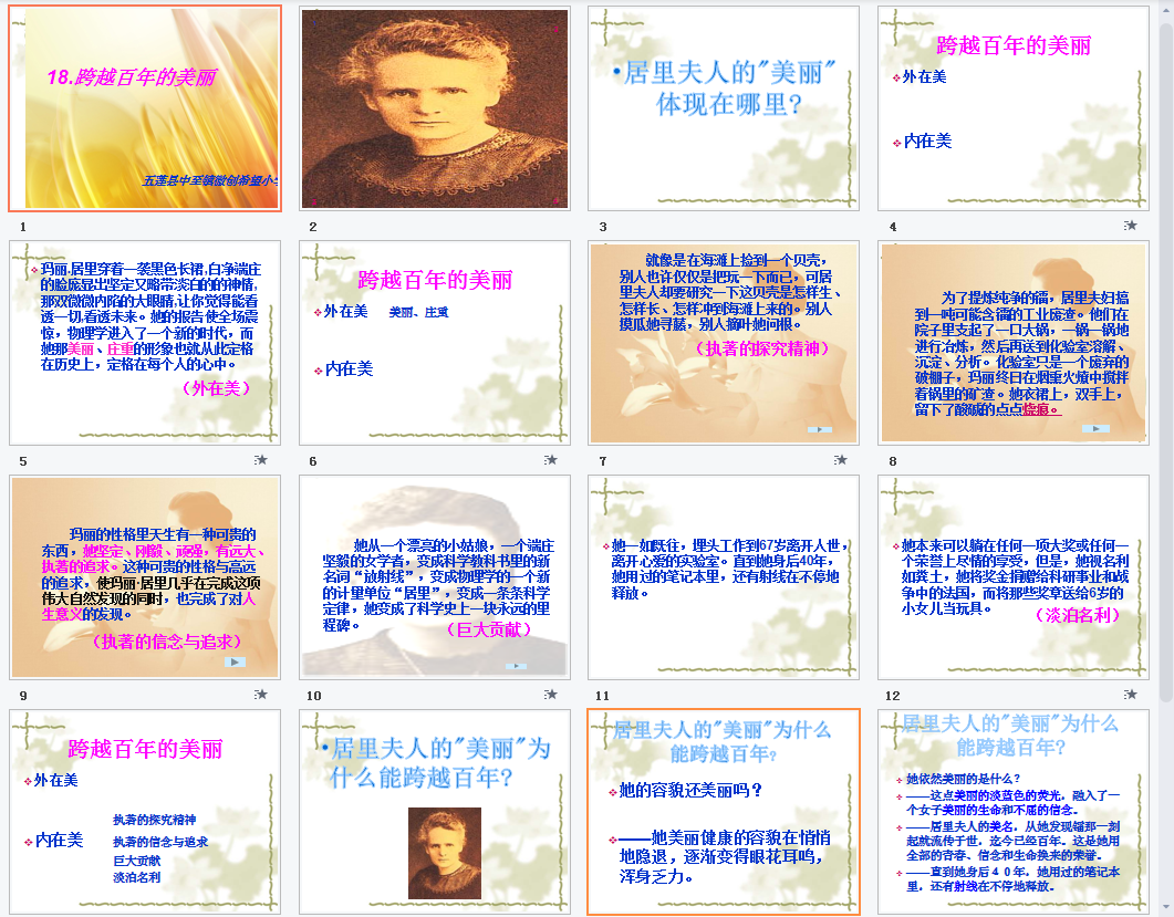 跨越百年的美丽b课件