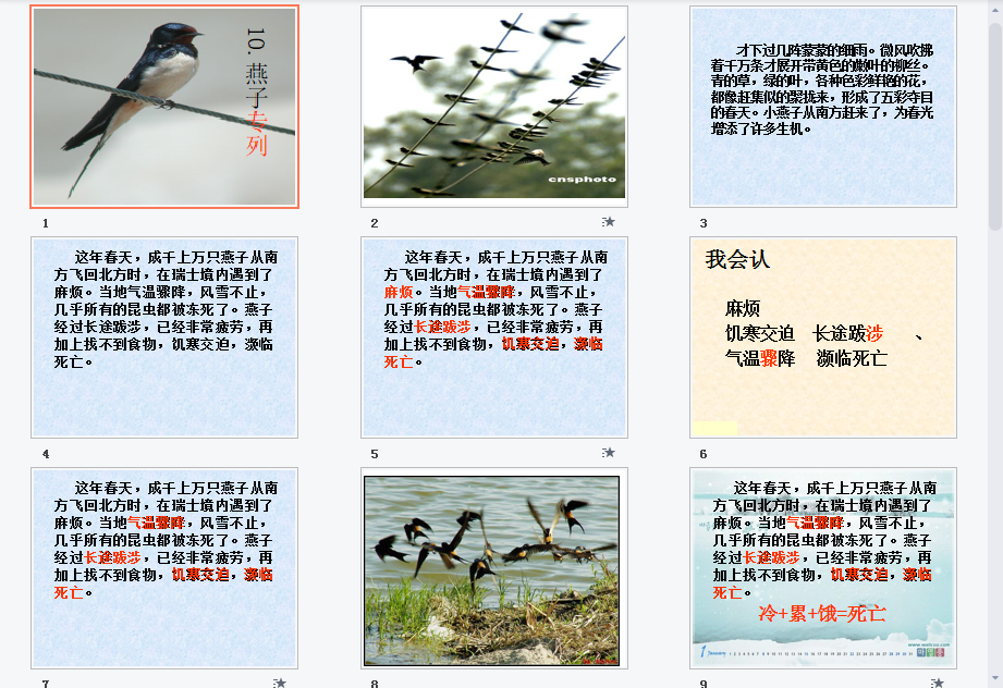 燕子专列b课件