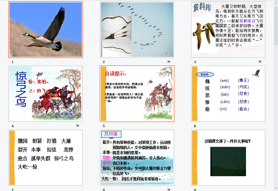 惊弓之鸟a课件