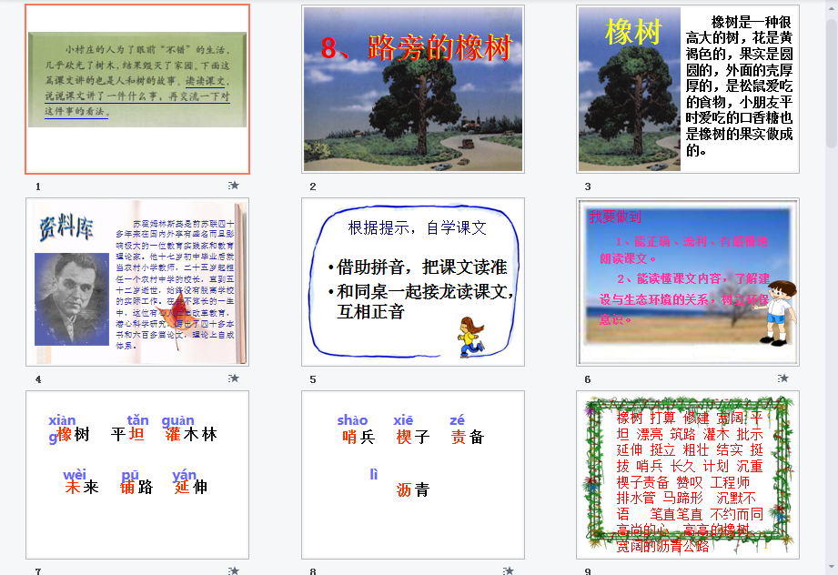 路旁的橡树a课件