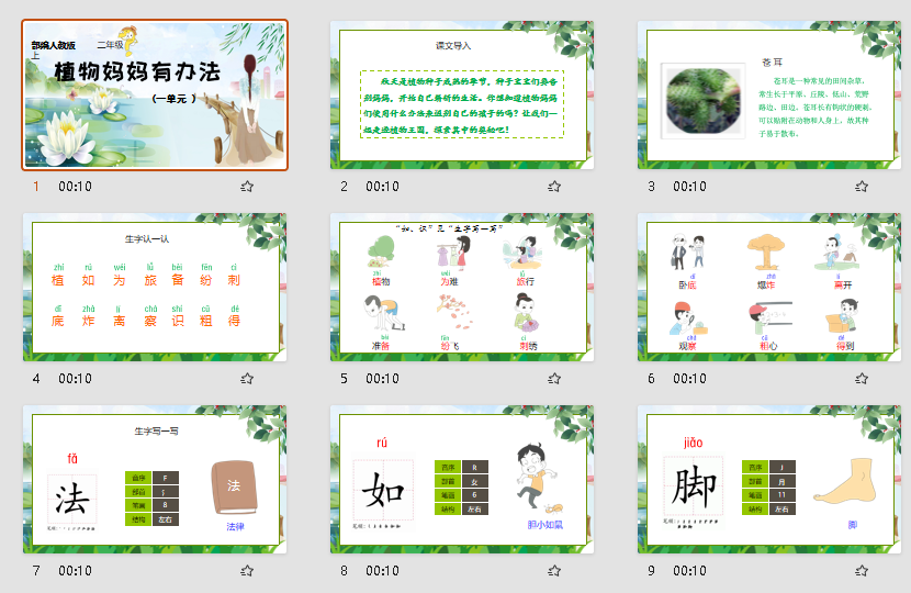人教部编版小学语文二年级上册植物妈妈有办法PPT教学课件